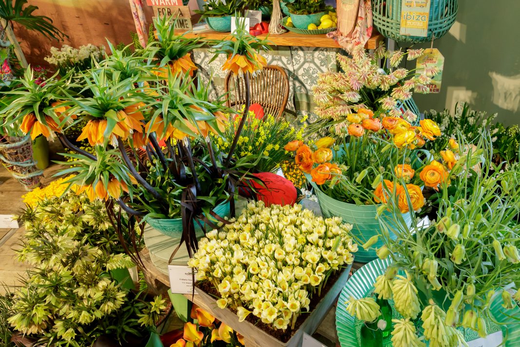 Keukenhof standprijs 2018