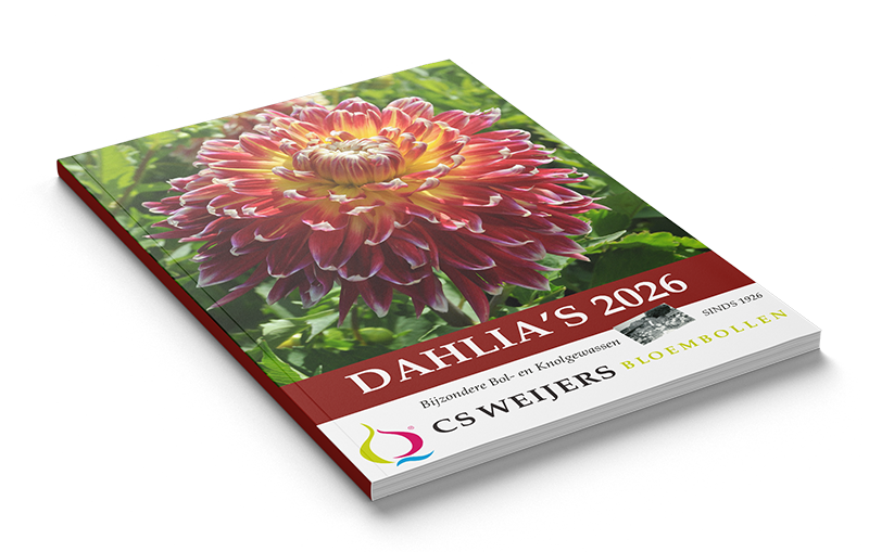 Nieuwe Dahliagids voorjaar 2026