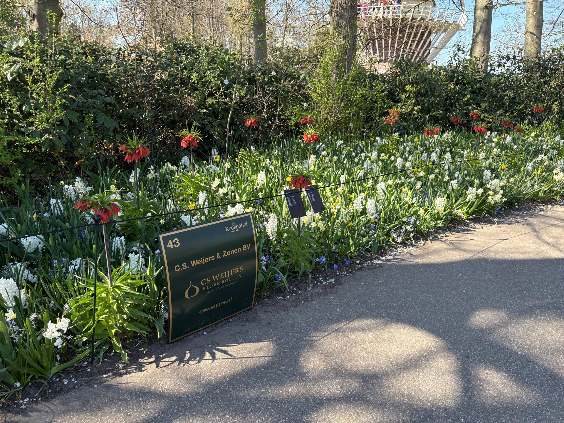 C.S. Weijers Bloembollen op Keukenhof