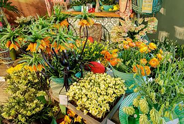 Keukenhof standprijs 2018