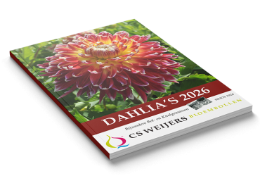 Nieuwe Dahliagids voorjaar 2026